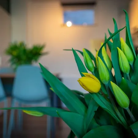 Casamare Appartamento *