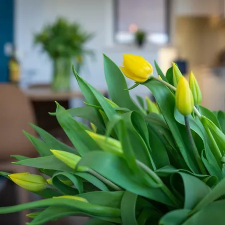 Casamare Apartment *