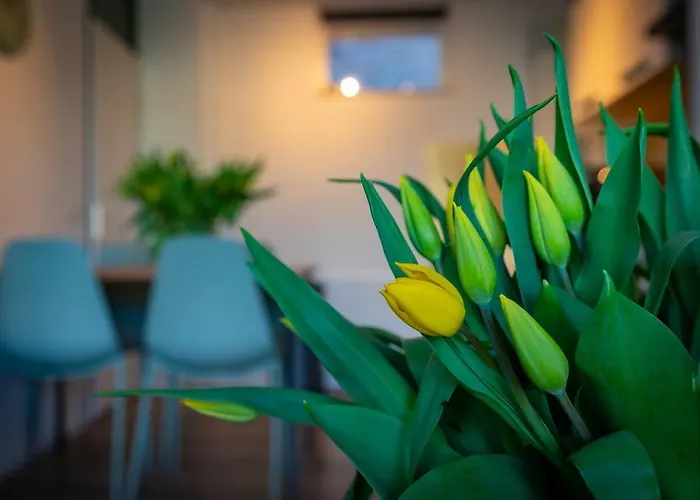 Casamare 아파트 *